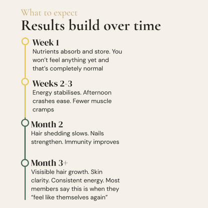 Nouri Daily Essentials results timeline – Week 1 nutrient absorption, Weeks 2-3 energy stabilises, Month 2 hair shedding slows, Month 3 visible hair growth and skin clarity